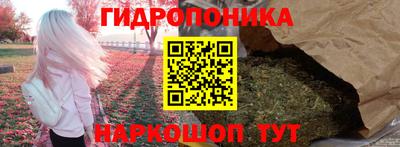 прущие грибы Жуковский