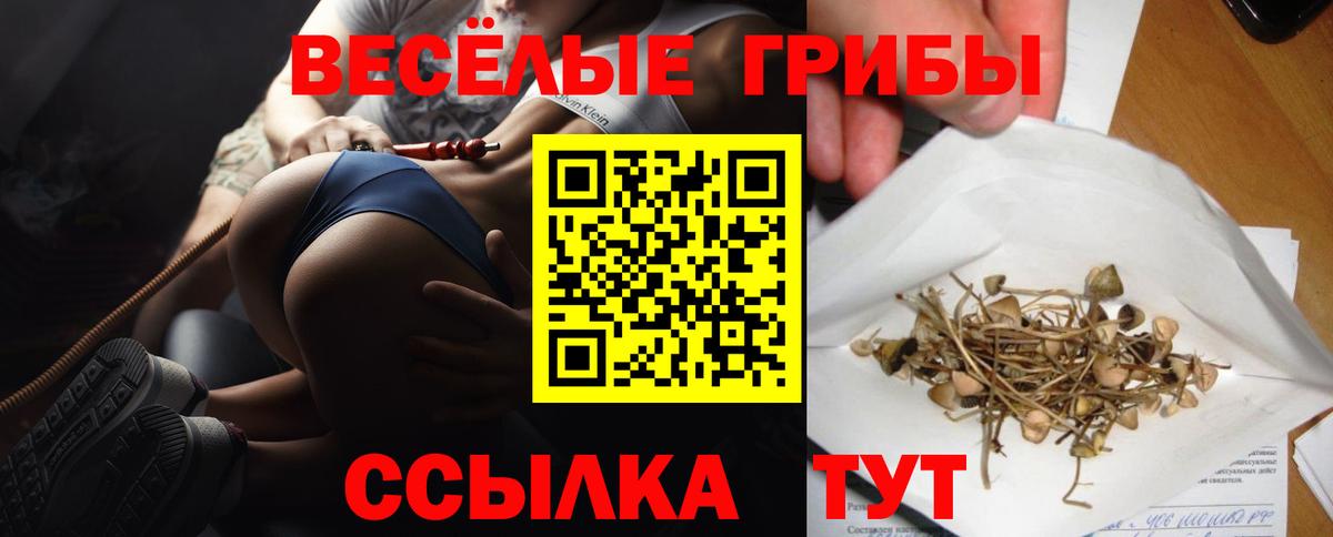 Магнитогорск  Галлюциногенные грибы MAGIC MUSHROOMS  Галлюциногенные грибы мухоморы  Вход с VPN 
